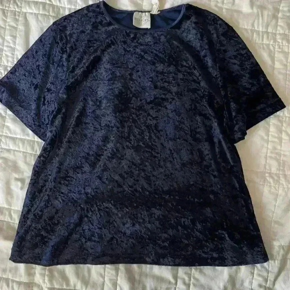 Vintage Tops - Vintage 90s whimsigoth blue velour t shirt Bentley women’s large fall witchy